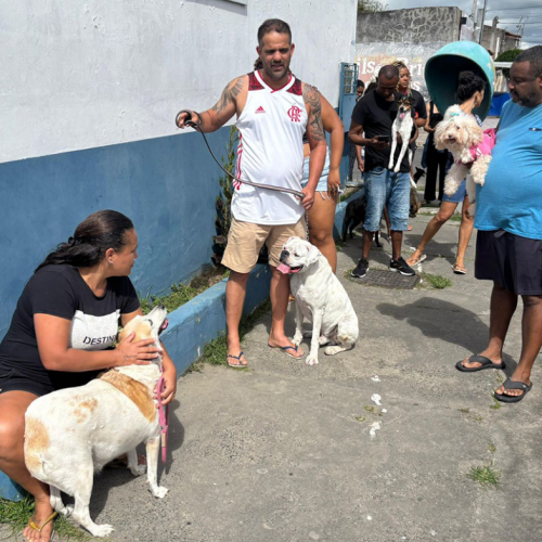Feira de Santana inicia campanha de vacinação antirrábica para cães e gatos no dia 25