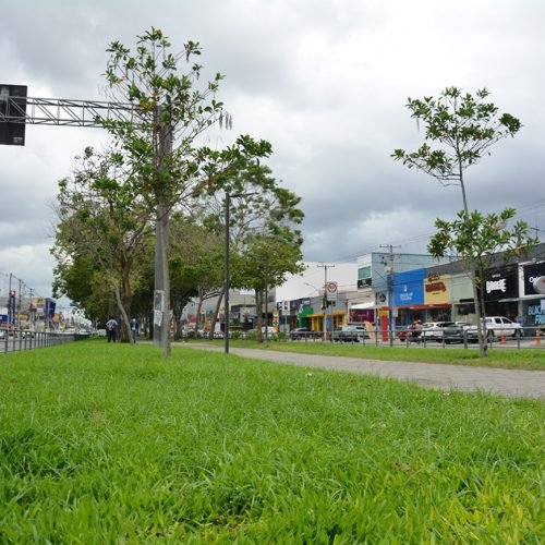 Prefeitura revitaliza canteiro central da avenida Getúlio Vargas