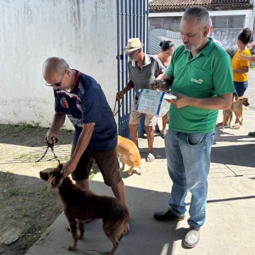 Feira de Santana ultrapassa 32 mil cães e gatos vacinados contra a raiva